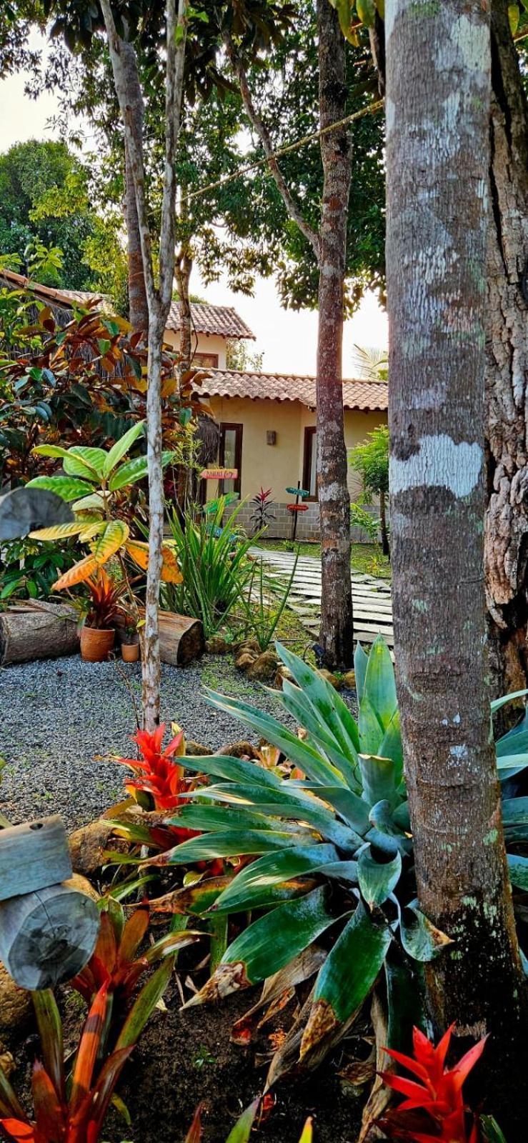 4 Elementos Guest House Porto Seguro Exteriör bild