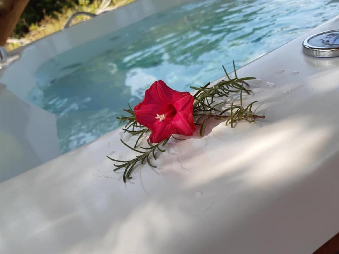 4 Elementos Guest House Porto Seguro Exteriör bild